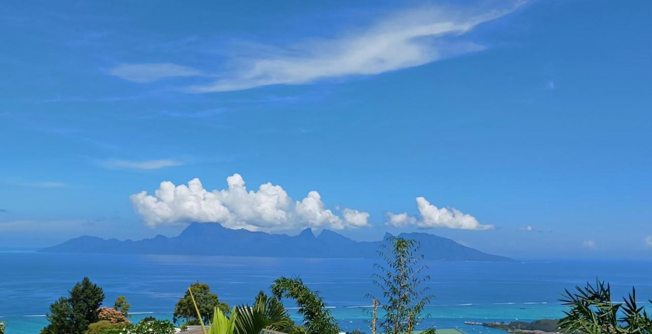 Studio Confort Avec Piscine Et Vue Tahiti Punaauia Buitenkant foto