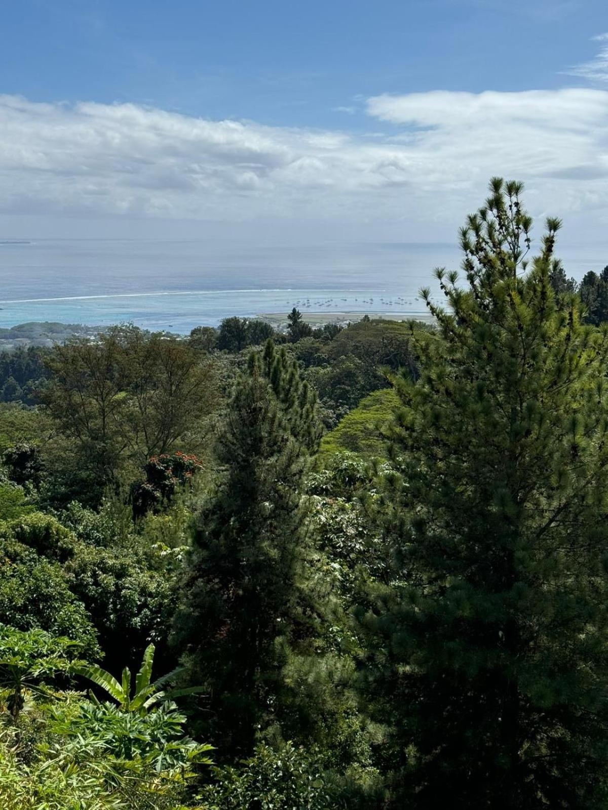 Studio Confort Avec Piscine Et Vue Tahiti Punaauia Buitenkant foto