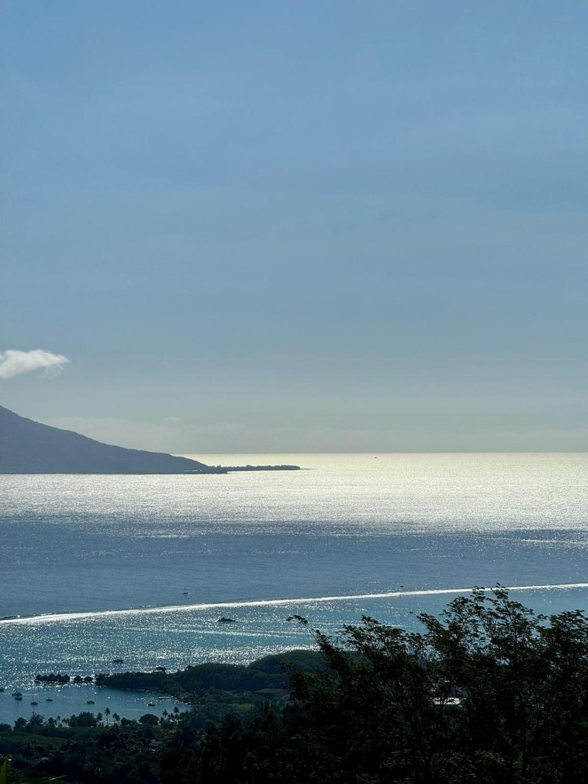 Studio Confort Avec Piscine Et Vue Tahiti Punaauia Buitenkant foto