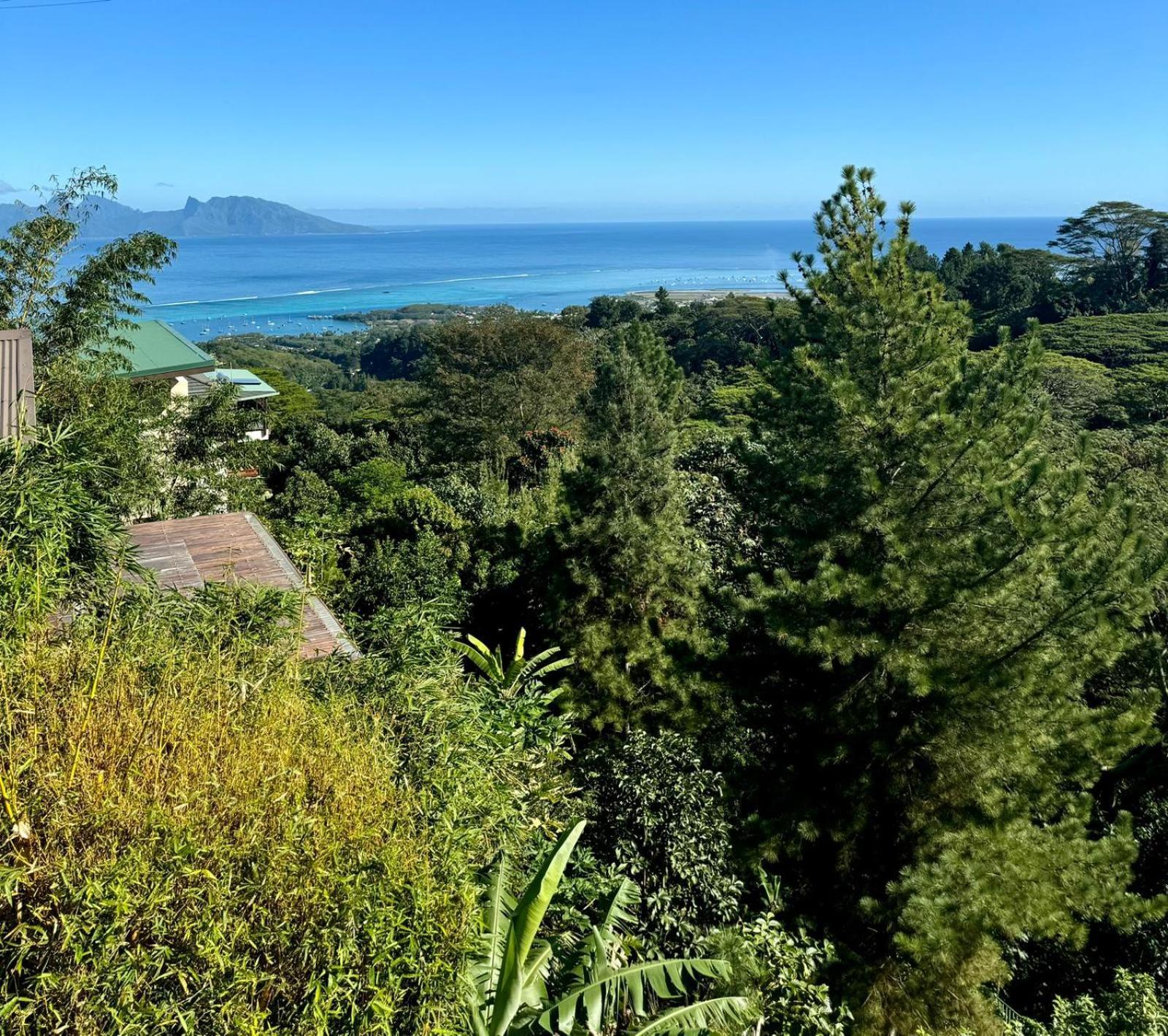 Studio Confort Avec Piscine Et Vue Tahiti Punaauia Buitenkant foto